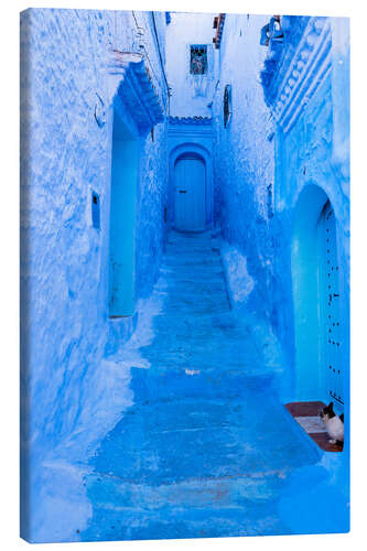 Canvas-taulu Cat in the blue street, Morocco