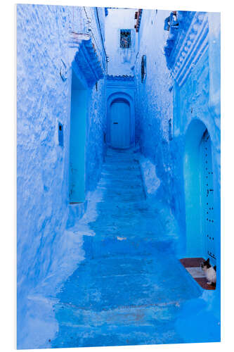 Foam board print Cat in the blue street, Morocco