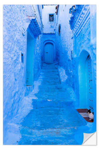 Självhäftande poster Cat in the blue street, Morocco