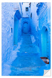 Selvklebende plakat Cat in the blue street, Morocco