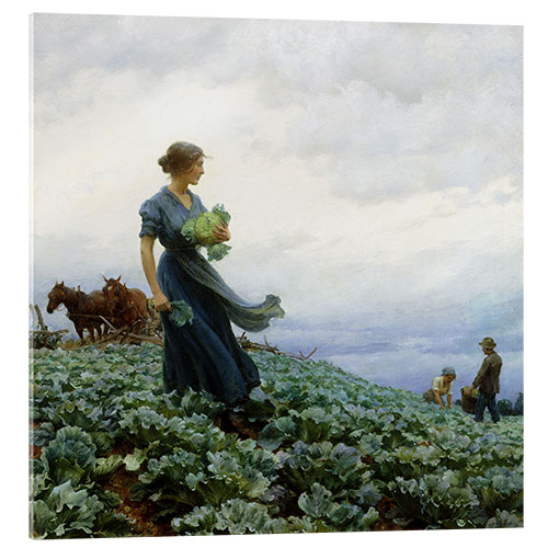 Quadro em acrílico The Cabbage Field, 1914