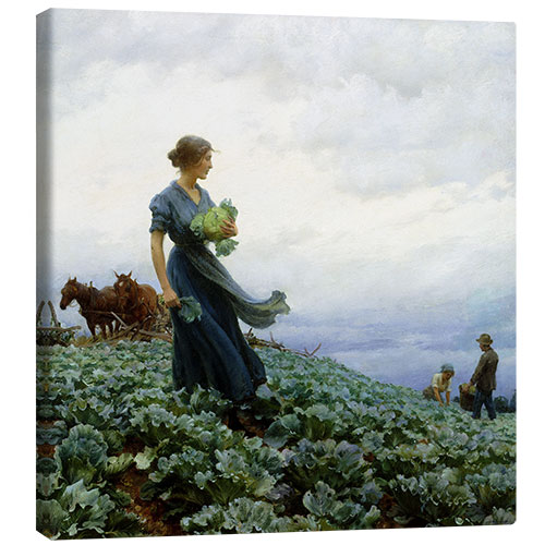 Tableau sur toile The Cabbage Field, 1914