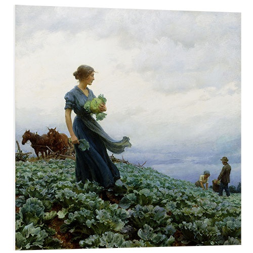 Foam board print The Cabbage Field, 1914