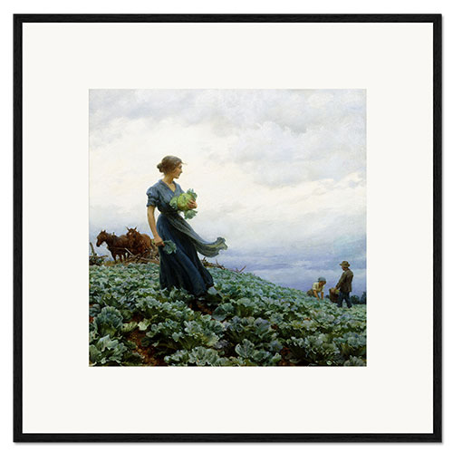 Framed art print The Cabbage Field, 1914