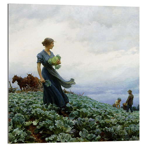 Cuadro de plexi-alu The Cabbage Field, 1914