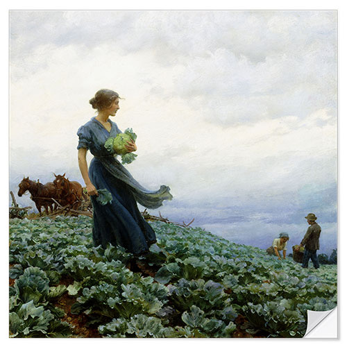 Selvklæbende plakat The Cabbage Field, 1914