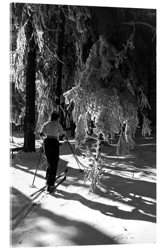 Acrylglasbild Langlauf im Winterwald