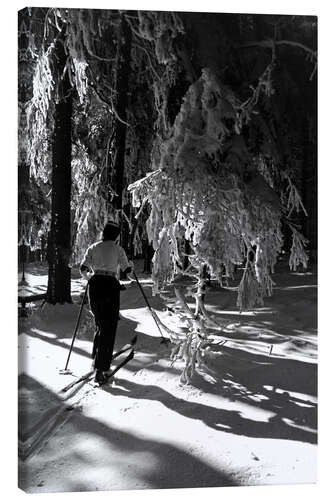 Canvas print Cross-country skiing in the winter forest