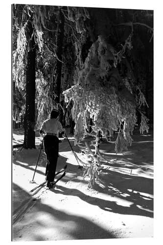 Gallery Print Langlauf im Winterwald