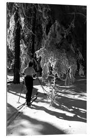 Gallery print Cross-country skiing in the winter forest