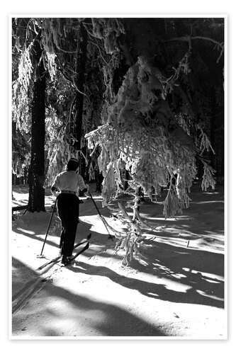 Poster Langlauf im Winterwald