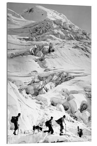 Galleriprint Hikers in the Alps