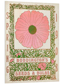 Foam board print Boddington's Seeds &amp; Bulbs, 1908