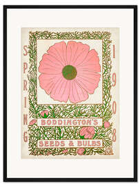 Gerahmter Kunstdruck Boddington's Seeds &amp; Bulbs, 1908