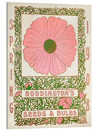 Gallery print Boddington&#039;s Seeds &amp; Bulbs, 1908