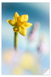 Wall sticker Daffodil