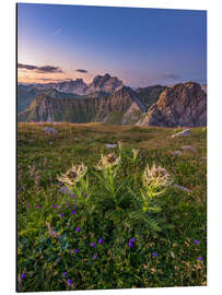 Aluminium print Flower Meadow in the Alps