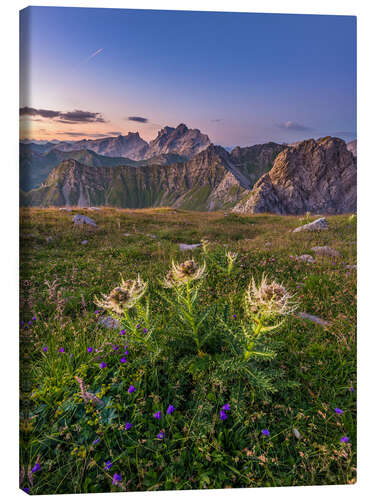 Leinwandbild Blumenwiese in den Alpen