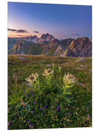 Tableau en PVC Flower Meadow in the Alps