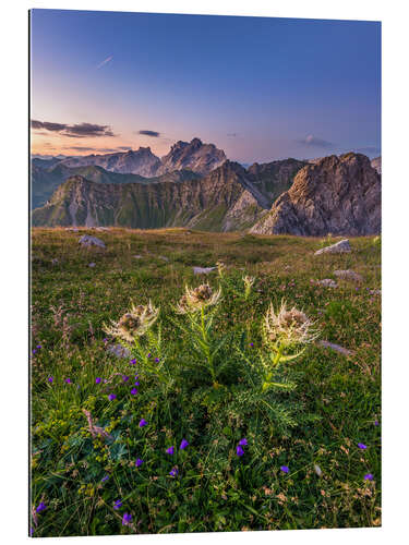 Gallery print Flower Meadow in the Alps