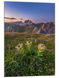 Gallery print Flower Meadow in the Alps