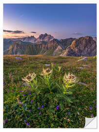 Naklejka na ścianę Flower Meadow in the Alps