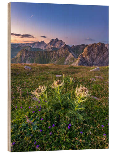 Stampa su legno Flower Meadow in the Alps