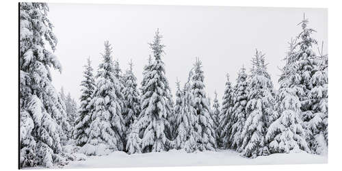 Alubild Winter im Schwarzwald