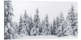 Tableau en aluminium Winter in the Black Forest