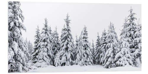 PVC print Winter in the Black Forest