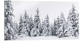 Gallery print Winter in the Black Forest