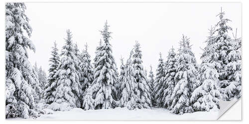 Vinilo para la pared Winter in the Black Forest