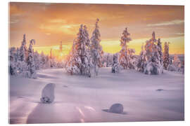 Acrylic print Golden Hour in Lapland