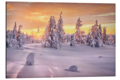 Aluminium print Golden Hour in Lapland