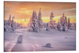 Aluminium print Golden Hour in Lapland