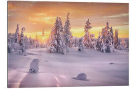 Gallery print Golden Hour in Lapland