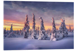 Acrylglasbild Wintertraum Lappland