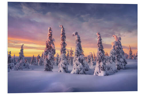 Tableau en PVC Winter dream Lapland