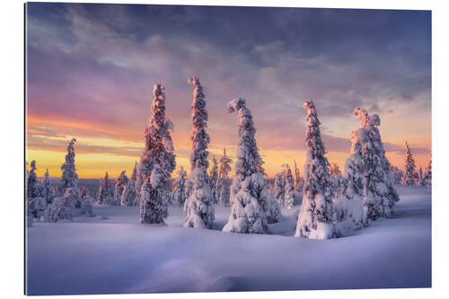 Gallery Print Wintertraum Lappland