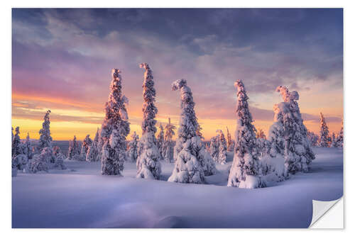 Sticker mural Winter dream Lapland