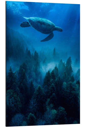 Cuadro de aluminio Sea turtle in the underwater forest