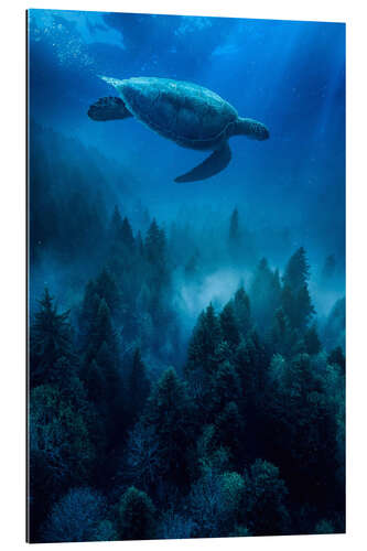 Galleriataulu Sea turtle in the underwater forest