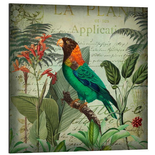 Aluminiumtavla Tropical Parrot in Vintage Style