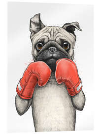 Acrylic print  Boxer Pug - Nikita Korenkov
