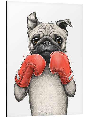 Aluminiumtavla Boxer Pug