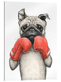 Gallery print Boxer Pug