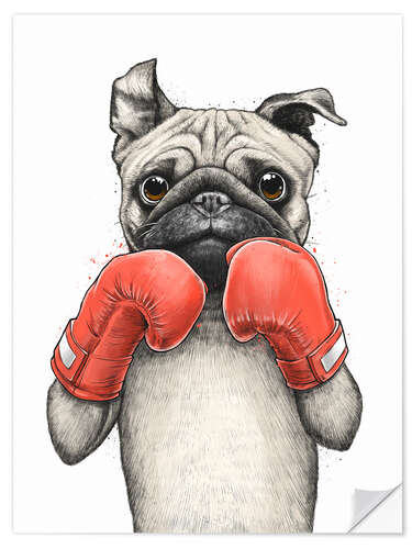 Sticker mural Boxer Pug