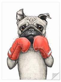 Naklejka na ścianę Boxer Pug