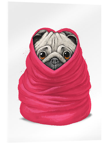 Akrylglastavla Pug in a warm blanket