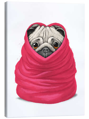 Canvas print Pug in a warm blanket